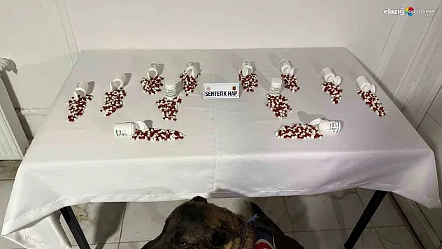 Tunceli'de narkotik köpeği 'Ayar'dan kaçamadılar!