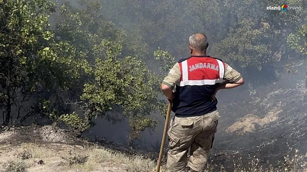 Tunceli'de otluk ve ormanlık alanda yangın