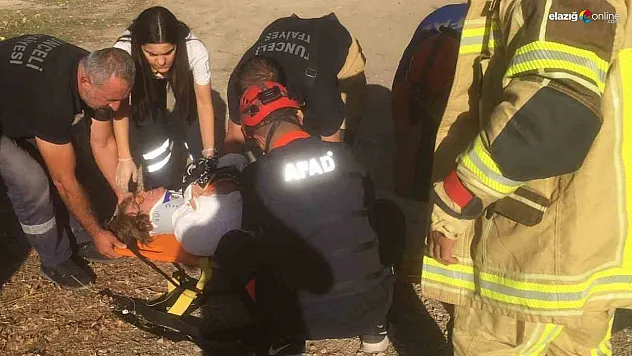 Tunceli'de trafik kazası: 5 yaralı