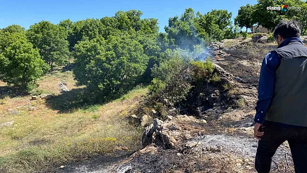 Tunceli'de yangın köye sıçramadan engellendi