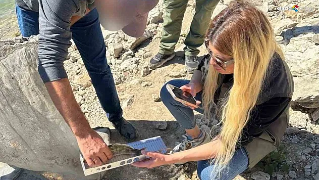 Tunceli'de Kaçak Balık Avına Ceza!