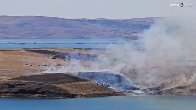 Tunceli'deki yangın ekili alanlara sıçramadan söndürüldü