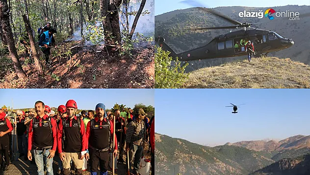 Tunceli'deki yangınlara müdahaleler sürüyor