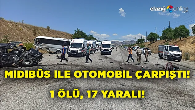 Tunceli-Elazığ Karayolu'nda Feci Kaza!