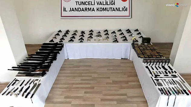 Tunceli merkezli 31 ilde silah kaçakçılarına operasyon: 60 gözaltı