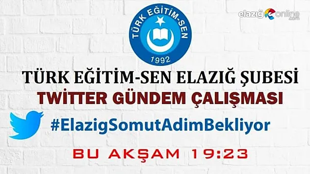 Türk Eğitim-Sen Elazığ Şubesi'nden twitter gündem çalışması