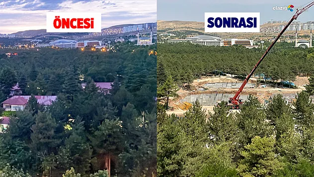 Türkiye Orman Yangınlarıyla Mücadele Ederken Elazığ'da Lojman için Ağaçlar Kesiliyor!