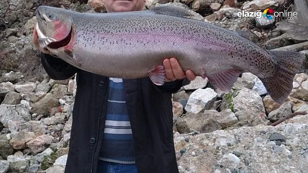 Türkiye ve Avrupa'nın en büyük alabalığı Elazığ'da olta ile yakalandı