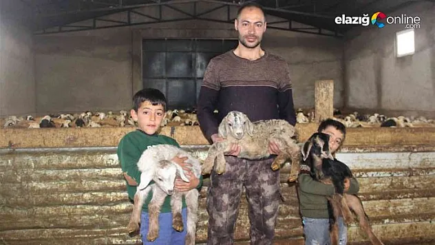 Bir tane beklerken, 3 tane oldu