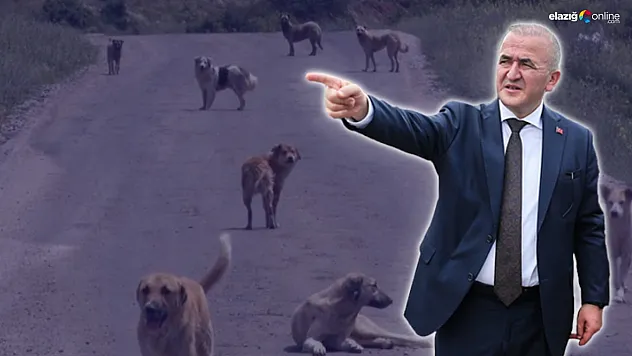 Vali Hatipoğlu O Vicdansızlar için Harekete Geçti!