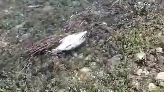 Vatandaşlar hala tedirgin! Su analizi yapıldı mı?