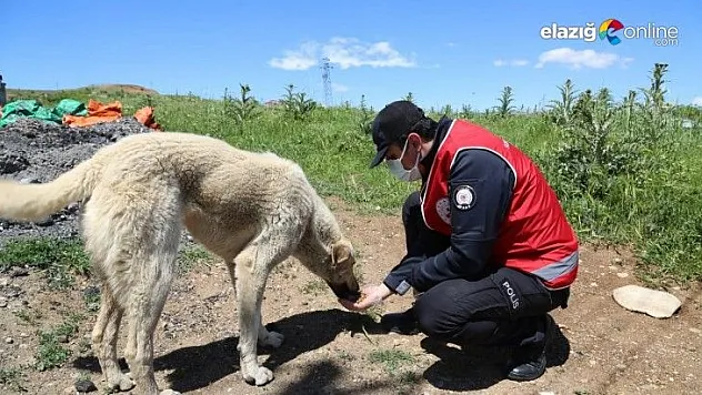 Tunceli vefa ekibi, can dostları unutmadı