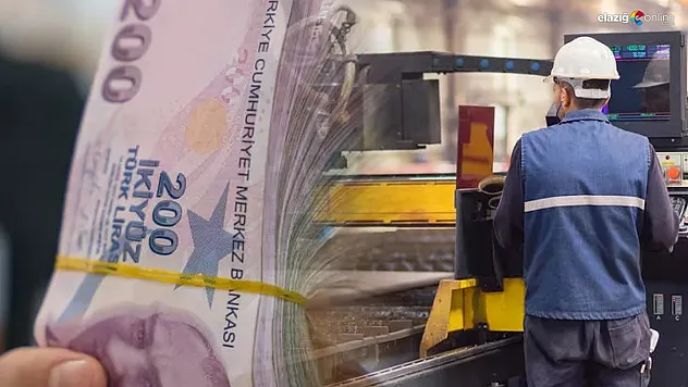 Vergi Uzmanı Bayram'ın açıklamaları asgari ücretlileri hüsrana uğratacak!