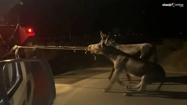 Vicdansız sürücü tepkilere aldırış bile etmedi! Yorum sizin