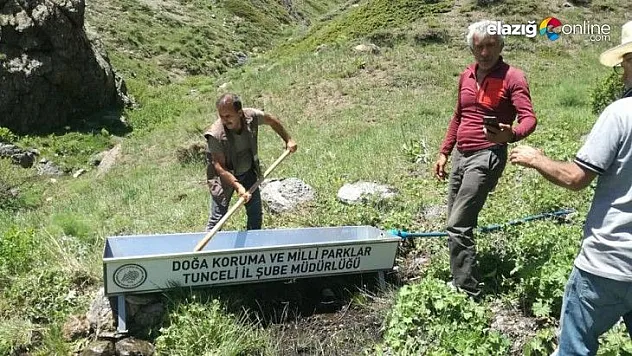 Yabani hayvanlar için su yalakları kuruldu