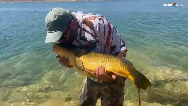 Elazığ'da Amatör Balıkçı 15 Kiloluk Dev Sazanı Yakaladı, Öperek Geri Saldı!
