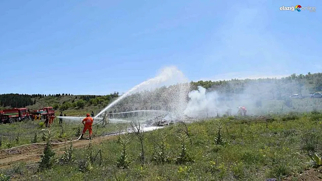 Elazığ ve Malatya'da Orman Yangınlarına Karşı Ortak Mücadele!