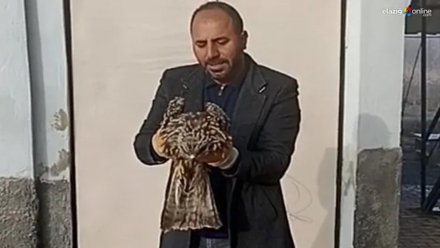Yaralı kartal koruma altına alındı!