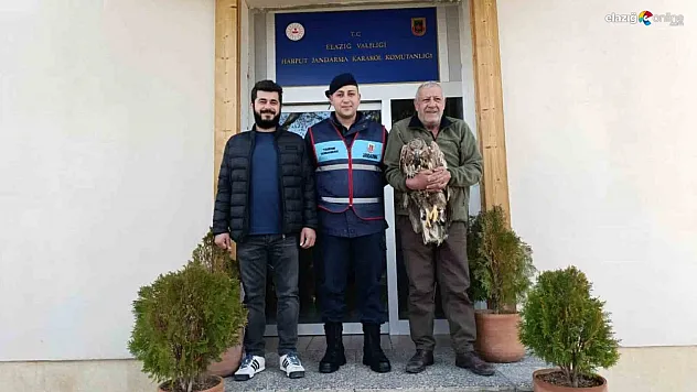 Yaralı Kartala Şefkat Eli: Jandarma Doğaya Sahip Çıktı!