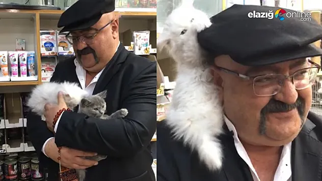 Yavru kedi ile müşterinin sevimli halleri gülümsetti