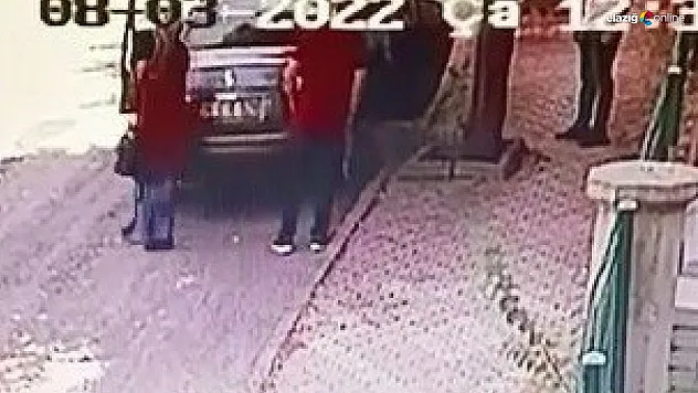 Vicdansızlığı cezasız kalmadı! Yavru kediyi sokağa atan şahsa 2 bin 724 lira ceza