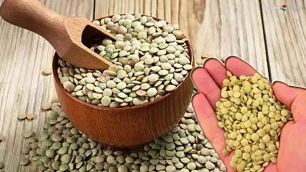 Yeşil mercimeğin böceklenmemesi için uzmanlardan öneriler