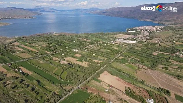 Sivrice baharla birlikte renk cümbüşüne büründü