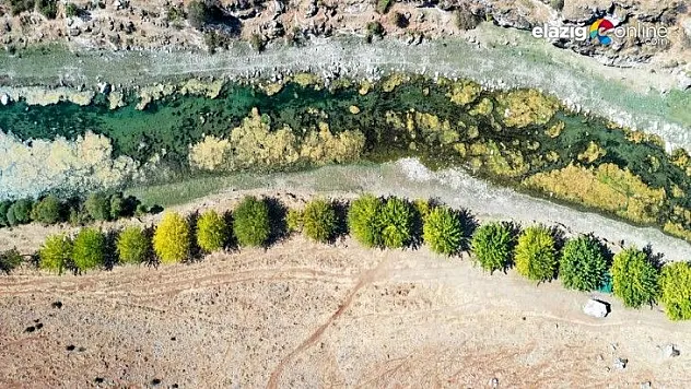 Yeşile olan tutkusu çorak araziyi 23 yılda yeşil kuşağa dönüştürdü