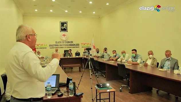 Yılda 110 bin ton bal üretiyoruz, 80 binini tüketiyoruz