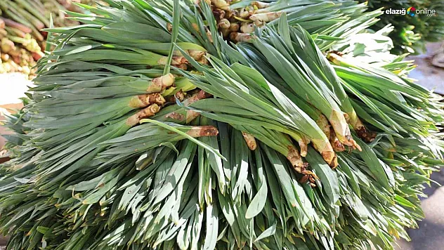 Şifa kaynağı tezgahtaki yerini aldı!