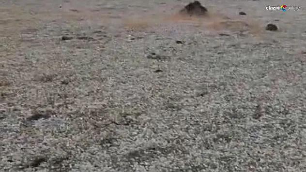 Ateşin Başında Otururken Yıldırım Düştü! O Anlar Kamerada!