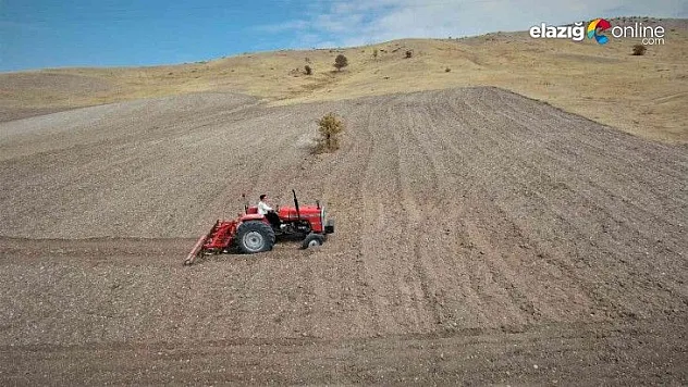 Yıllarca kaldığı Fransa'da en iyi fakültede doktora yaptı, köyüne dönüp tarıma başladı