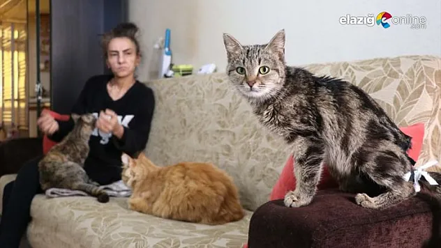 Yıllardır evini paylaştığı 45 kediye engelli maaşıyla bakıyor