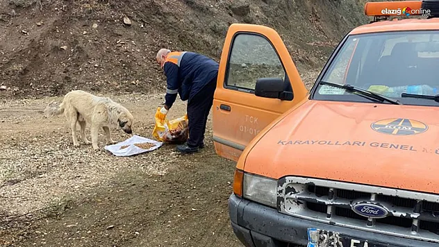 Yol kontrolü yaparken sokak hayvanlarını da unutmadılar!