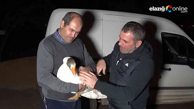 Yolda bularak 'Mamoş' ismini verdiği kazı sahibine teslim etti