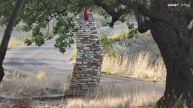 Yön bulduran 'Obo' yarışmasına yoğun ilgi