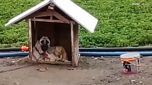 Yürekleri ısıtan dayanışma!