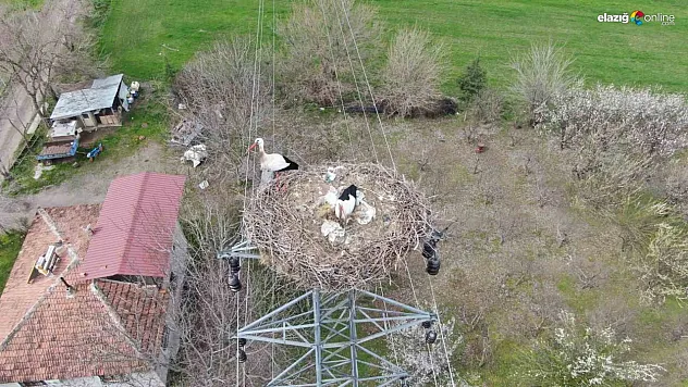 Elazığ'a dönmeye başladılar!
