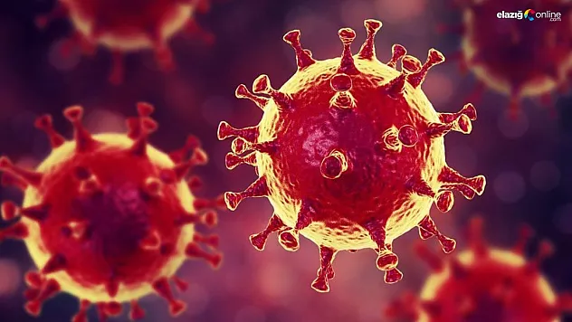 Yüzde yüz virüs garantili: 'Nano maskelerin paketlenişi'