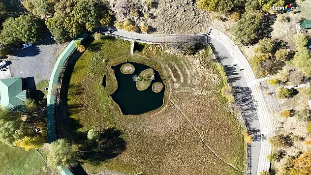 Yüzen Adalar'da sonbahar güzelliği