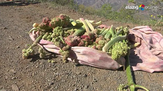Zorlu ışkın mesaisi başladı