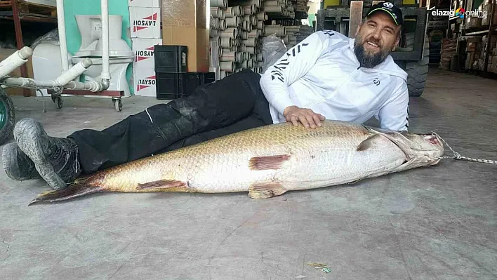1 buçuk metrelik balık oltaya takıldı