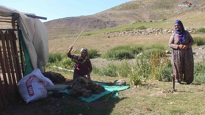 Besicilerin zorlu yayla yaşamı sürüyor