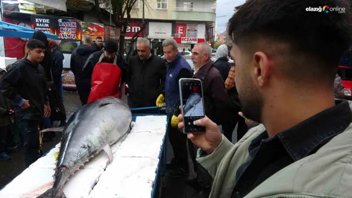 2 metreden büyük orkinosu görenler telefona sarıldı