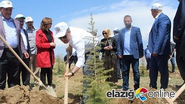 AK Parti Elazığ İl Başkanlığından fidan dikimi