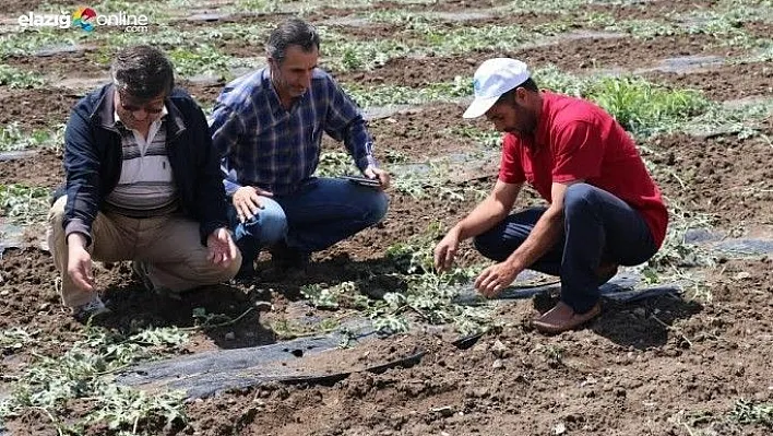 Elazığ'da 82 Köyde Zarar!
