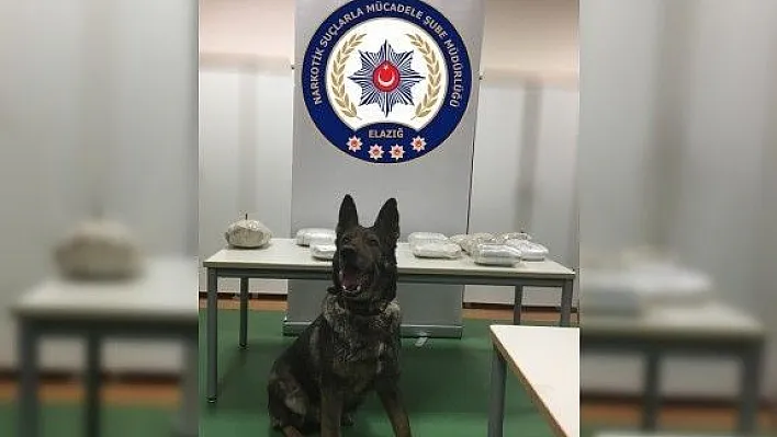 Otomobilin kapılarına zulalanmış 15 kilo esrar ele geçirildi