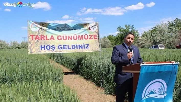 Şintil Köyü'nde 'Tarla Günü' düzenlendi!