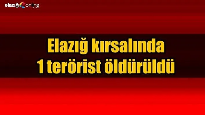 Elazığ kırsalında 1 terörist öldürüldü