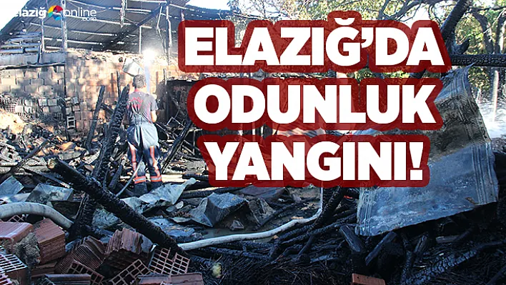 Elazığ'da Odunluk Yangını!